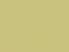 3210-C10-M5-Y50-K20-025.jpg