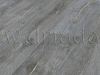 D-4160_1845_188-Area.jpg