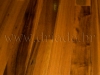 parket-teak-3